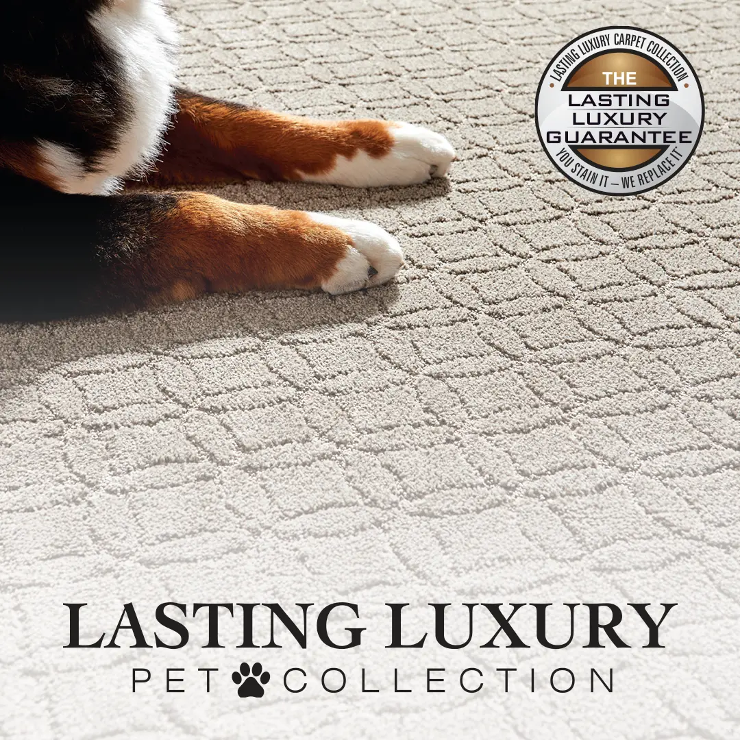 Lasting Luxury Pet Collection