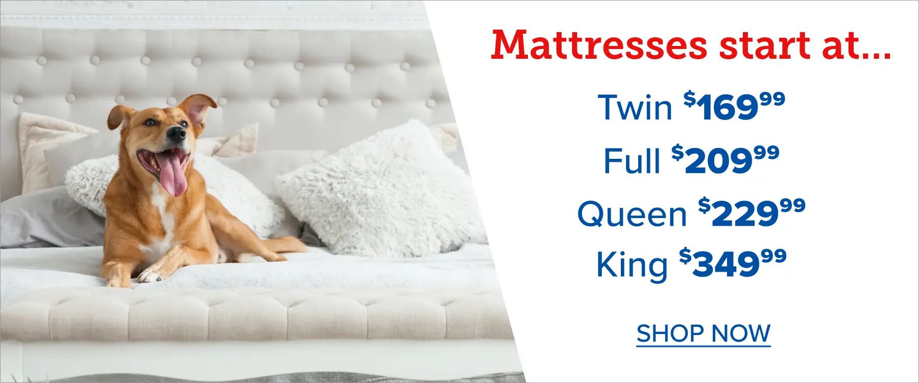 Mattresses Start at Mattresses Start at