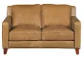 Contemporary Classic Pecan Brown Leather Loveseat - Allure