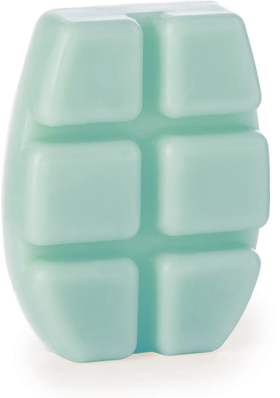 Escape To Paradise 2.5oz Wax Melt-3