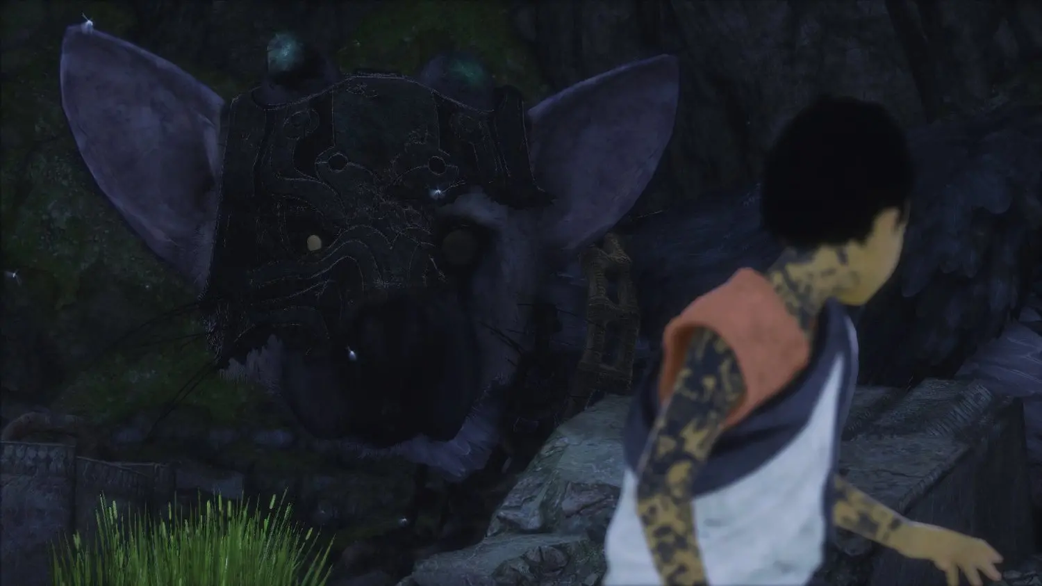 PS4/LAST_GUARDIAN The Last Guardian - PS4-3