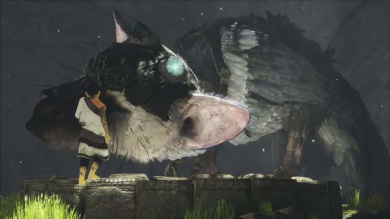 PS4/LAST_GUARDIAN The Last Guardian - PS4-4