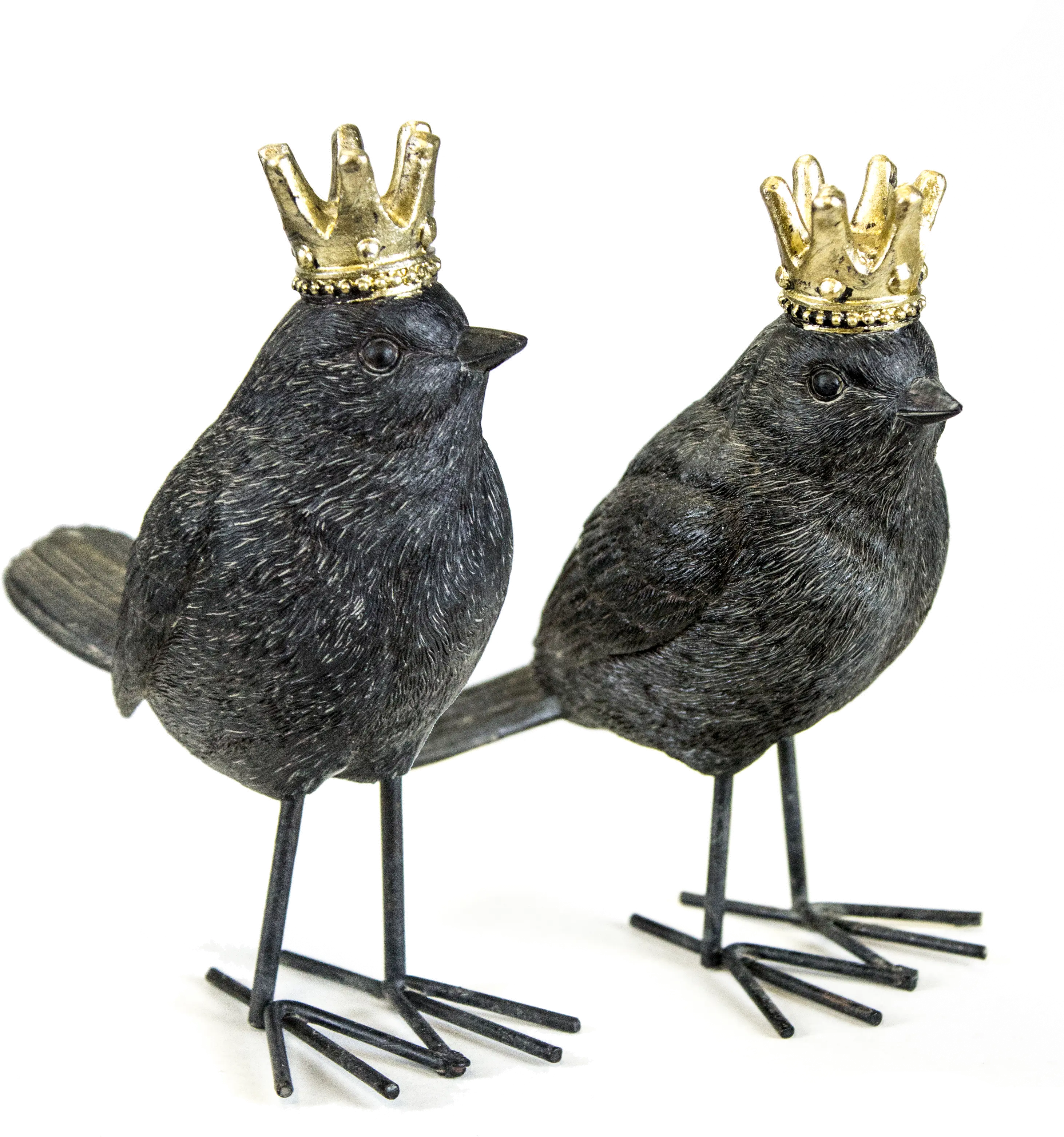 Assorted Bird with Crown-1