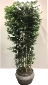 Faux 8 Foot Giant Clipped Ficus Tree Arrangement