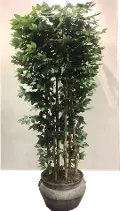Faux 8 Foot Giant Clipped Ficus Tree Arrangement