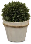 9 Inch Boxwood Ball Faux Arrangement