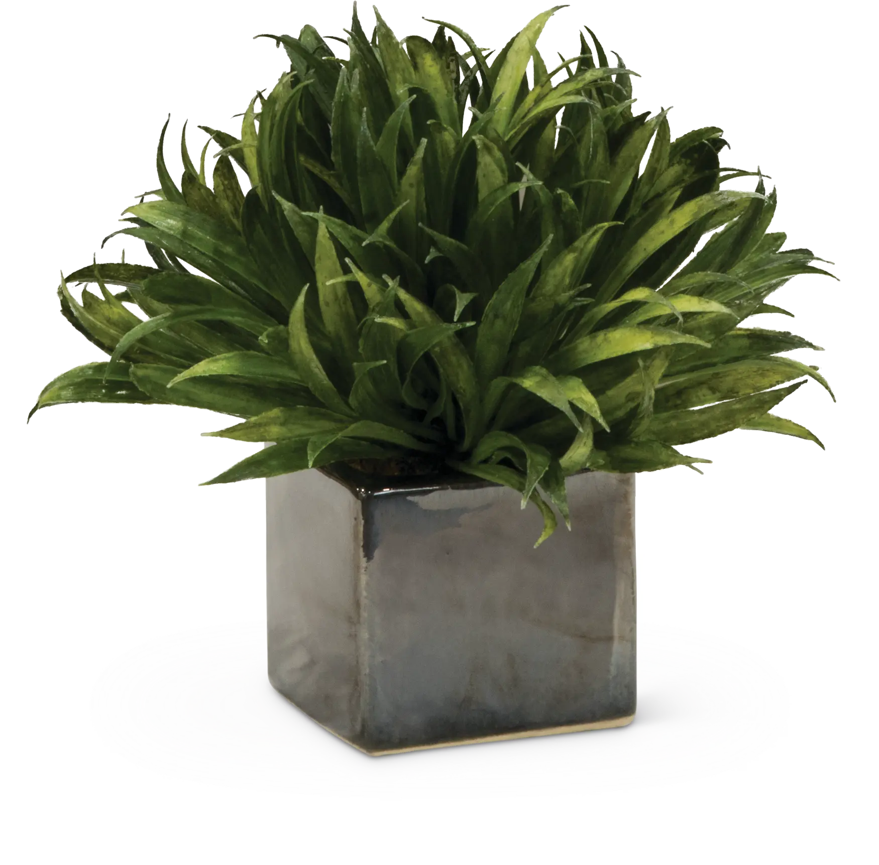7 Assorted Mini Rye Grass Arrangement in Cube-1