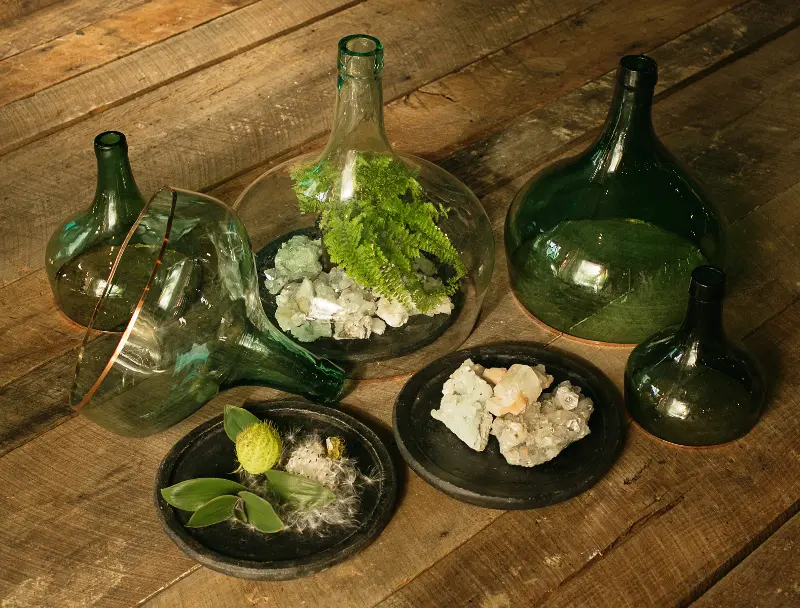 Assorted Medium Demijohn Cloche