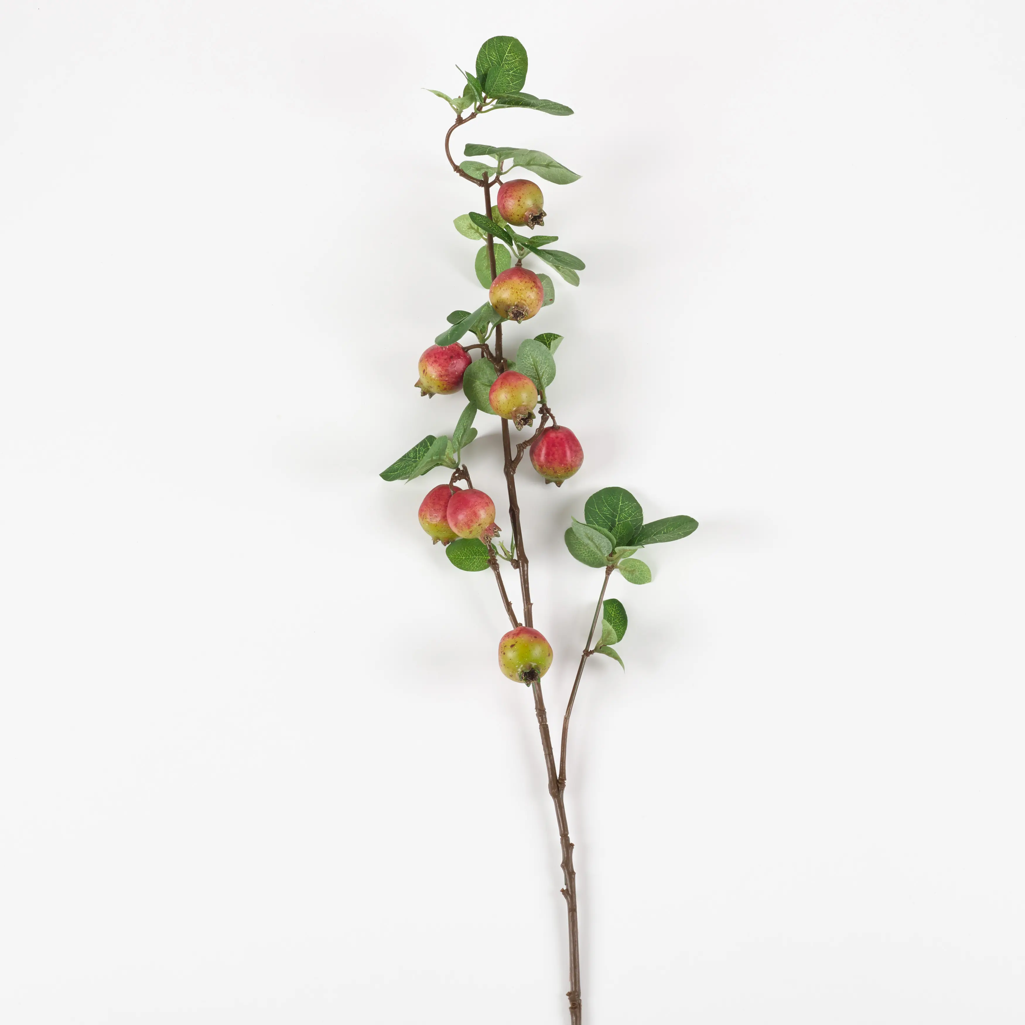 32 Pomegranate Branch Stem For Arrangement-1