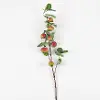 32  Pomegranate Branch Stem For Arrangement