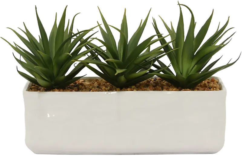 Faux Succulent Arrangement in Pot