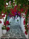 Bougainvillea Path Patio Canvas Outdoor-Indoor Wall Art