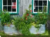 Tub Of Flowers Patio Canvas Outdoor-Indoor Wall Art