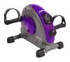 15-0142 Stamina Mini Exercise Bike Purple