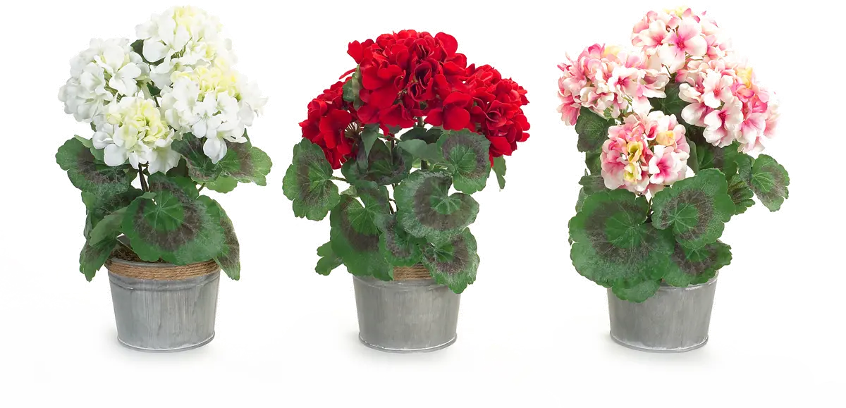 Assorted Multi Color Potted Faux Geranium Arrangement-1