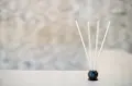 Black Mink 10 Piece Pre-Scented Sticks with Vase