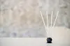 Pine Forest 25 Piece Pre-Scented Sticks with Vase