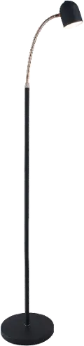 Black and Antique Brass Transitional LED Floor Lamp - Tiara