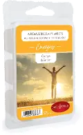 Energize 2.5oz Aromatherapy Wax Melt