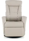 Grove Gray Large Leather Swivel Glider Power Recliner with Adjustable Headrest