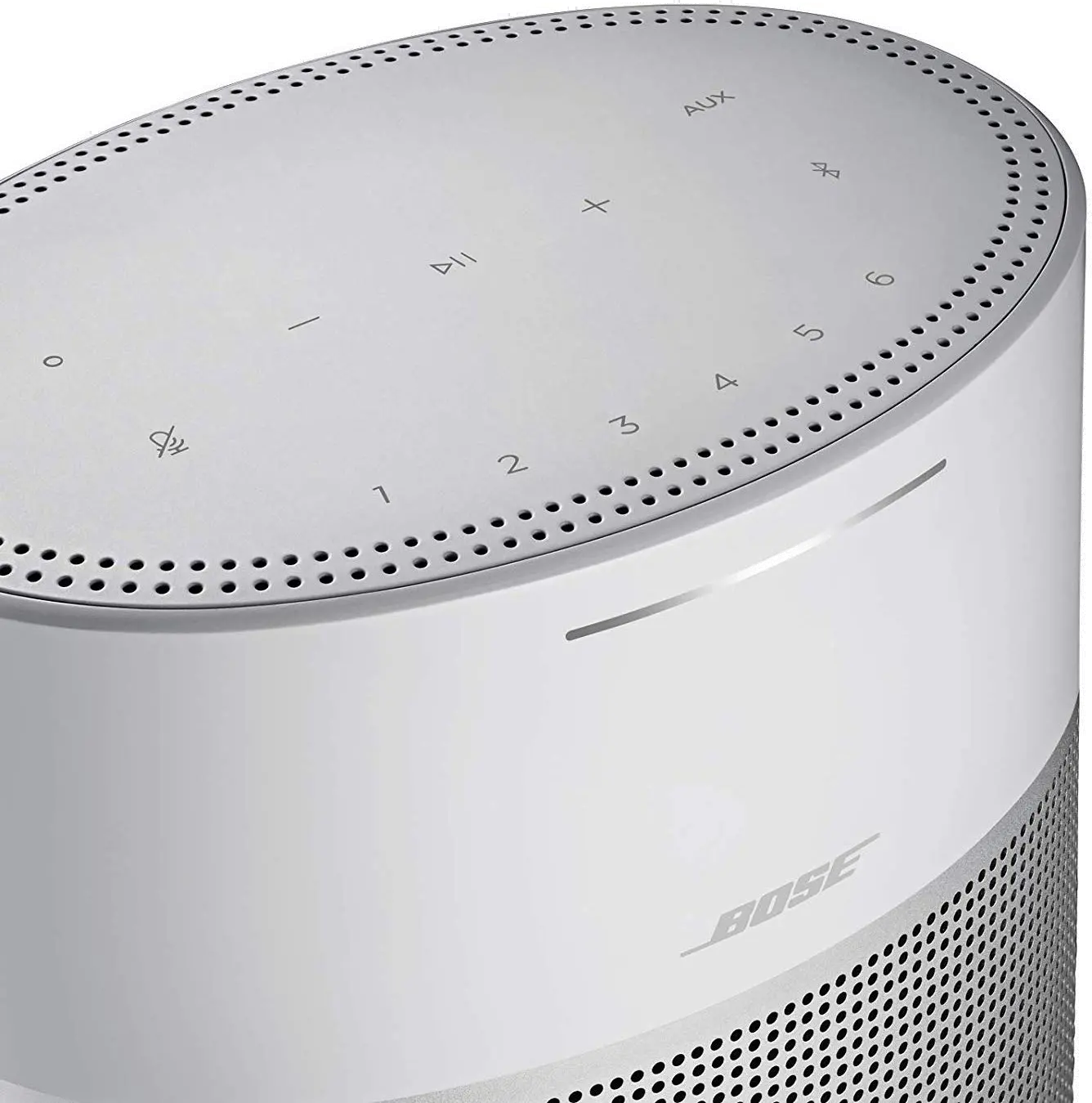 HOME SPEAKER 300/SILVER Bose Home Speaker 300 - Luxe Silver-2