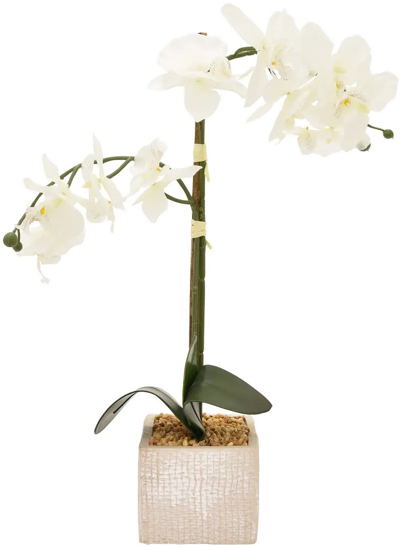 Faux White Orchid Arrangement in Square Pot