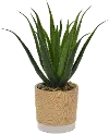 Faux Cactus in Wood Tone Pot