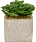 6 Inch Faux Green Succulent Arrangement in Square Pot