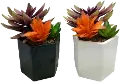 Assorted Faux Orange Succulent Arrangement in Pot