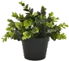 8  Two Tone Artificial Boxwood Greenery in a Flower Pot