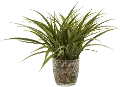 11 Faux Green Grass Arrangement in Round Glass Pot