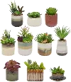 Assorted Multi Color Faux Succulent in Pot