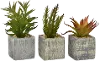 Assorted Faux Succulent Arrangements in Square Pot