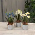 Assorted Artificial Spring Flower Arrangement in Pot