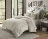 Carlyle Light Gray and Metallic Queen 9 Piece Bedding Collection