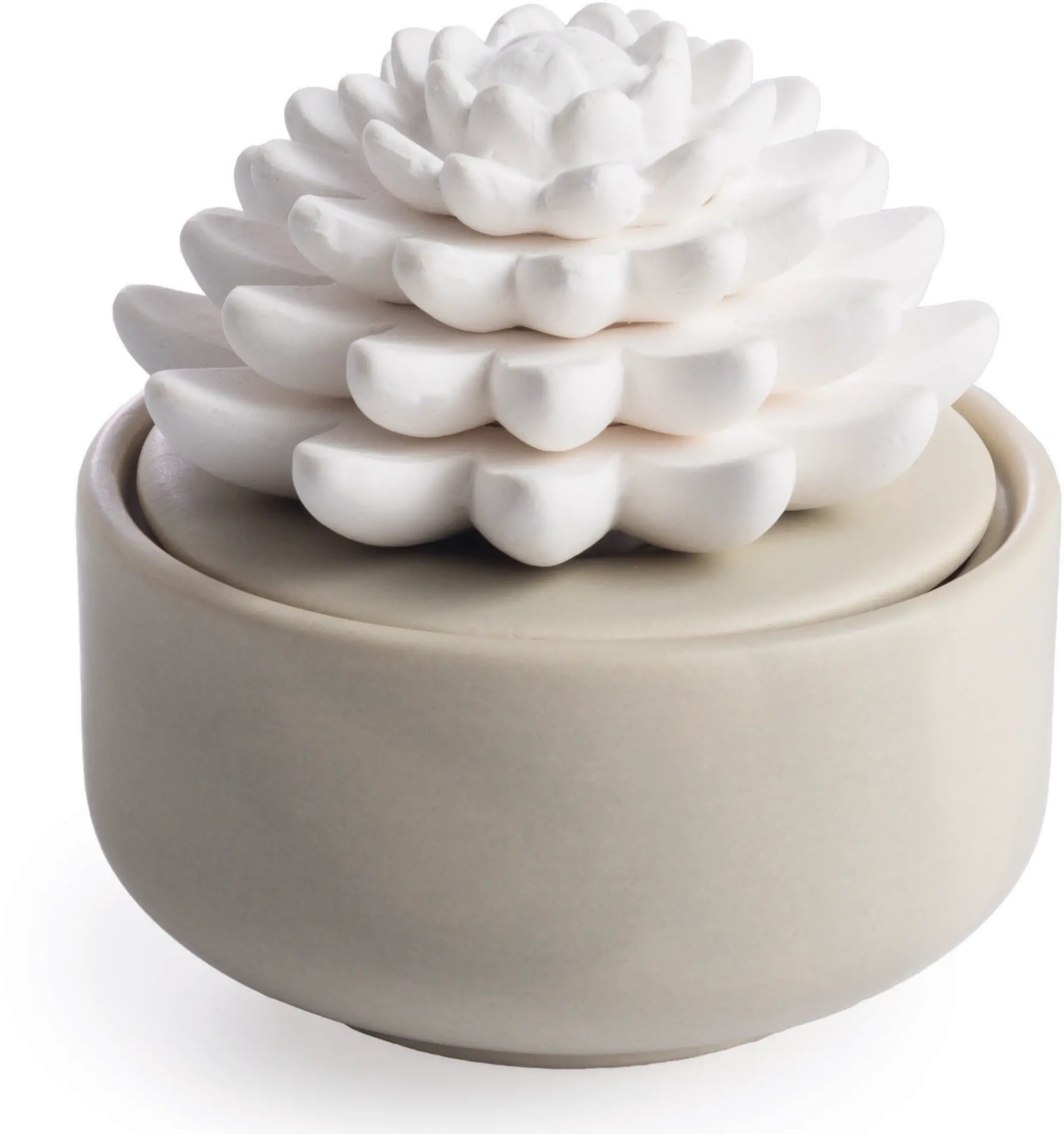 Porcelain Succulent Warm Gray Diffuser Airome-1