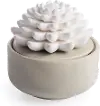 Porcelain Succulent Warm Gray Diffuser Airome