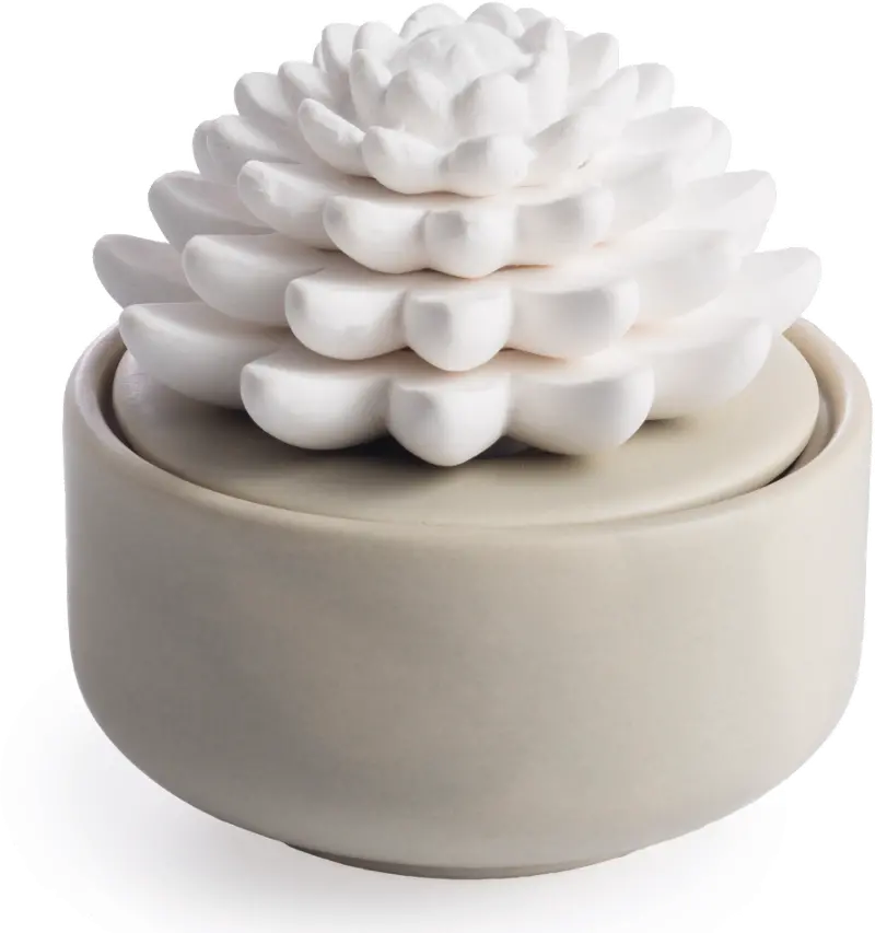 Porcelain Succulent Warm Gray Diffuser Airome