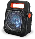 iLive Portable Wireless Speaker with FM Radio