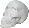 White Faux Marble Look Skull Tabletop Sculpture