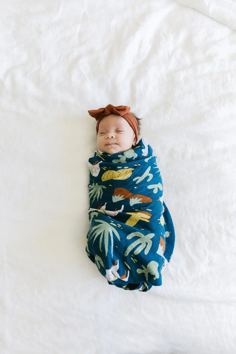 Multi Color Machu Picchu Bamboo Rayon Muslin Swaddle Blanket