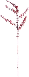 44  Burgundy Faux Eucalyptus Branch for Arrangement