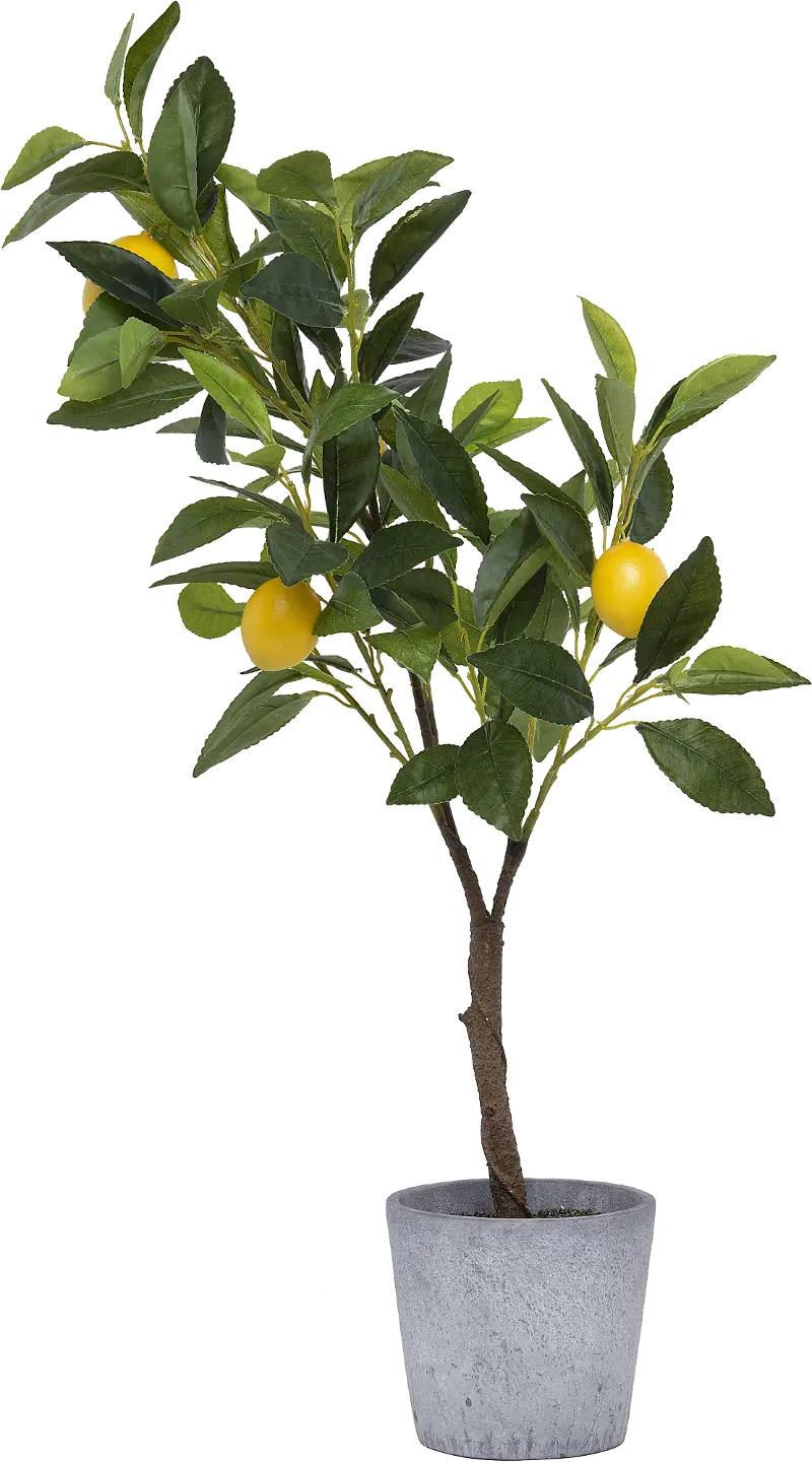 Faux Green Tree with Lemons Arrangement in Cement Pot