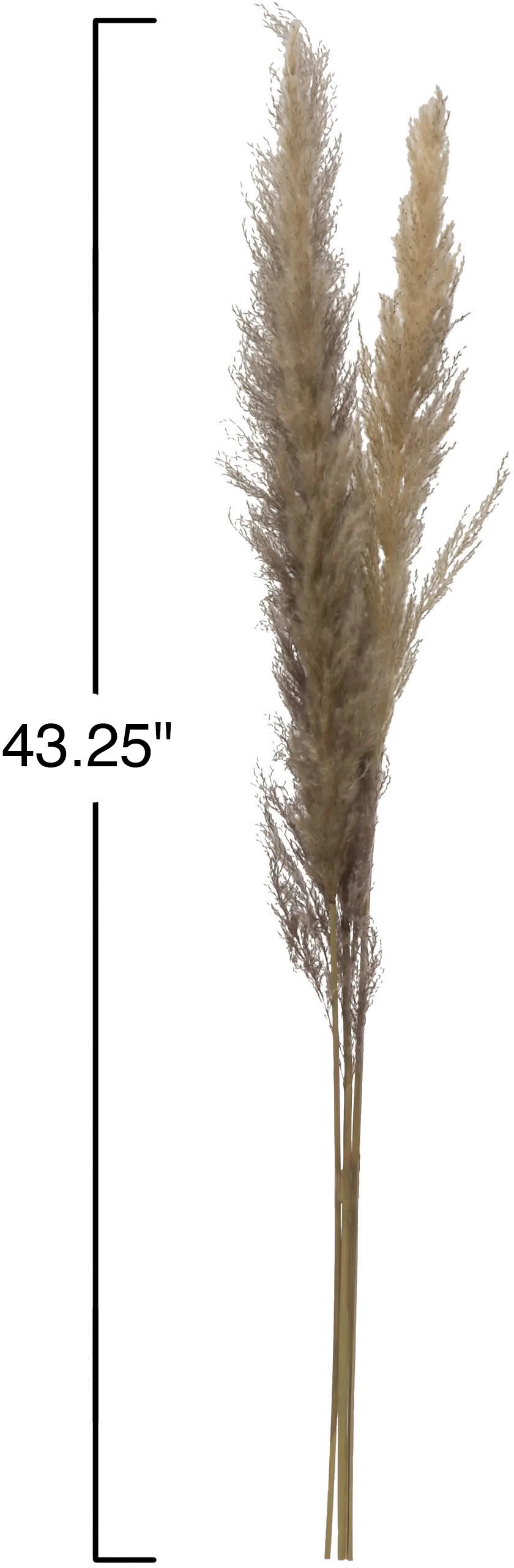 DF2581/PAMPAS 43 Dried Brown Faux Pampas Grass Bunch-2