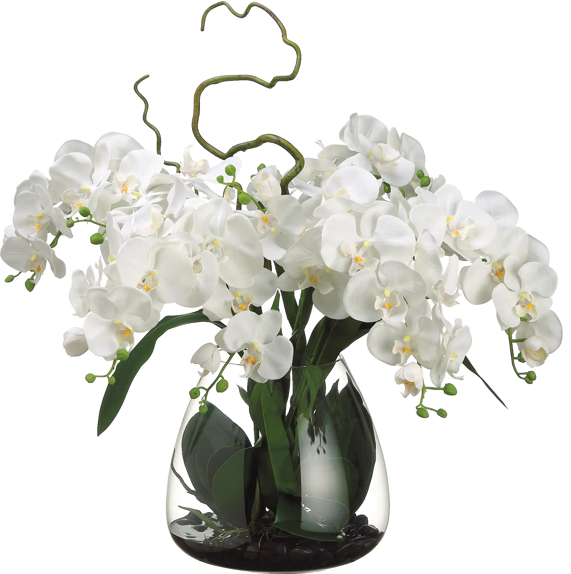 Faux Cream Phalaenopsis Orchid Arrangement in Glass Vase-1