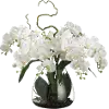 Faux Cream Phalaenopsis Orchid Arrangement in Glass Vase