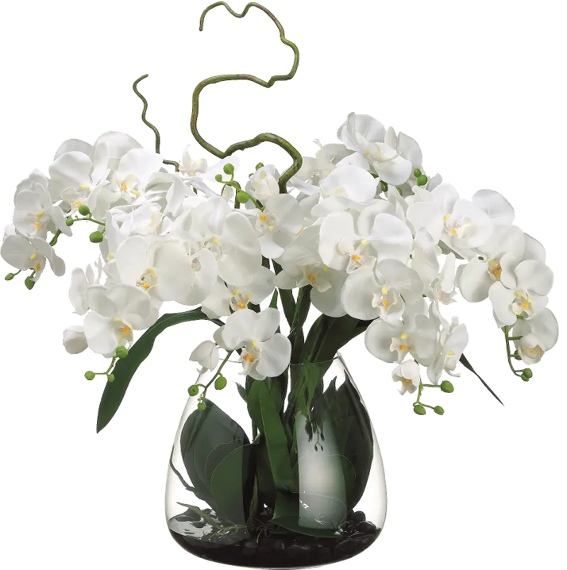 Faux Cream Phalaenopsis Orchid Arrangement in Glass Vase