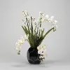 Faux Cream Dendrobium and Orchids Arrangement in Black Planter