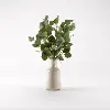 Faux Seeded Green Eucalyptus Spray Arrangement in Bottle