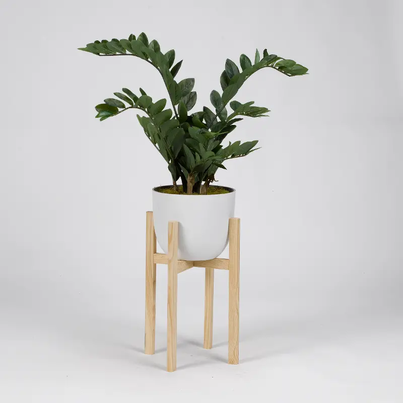 Faux Zamifolia Arrangement in White Planter with Wood Stand